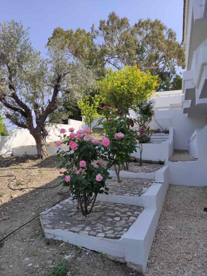 Arocaria - Faliraki Peaceful Apartments المظهر الخارجي الصورة