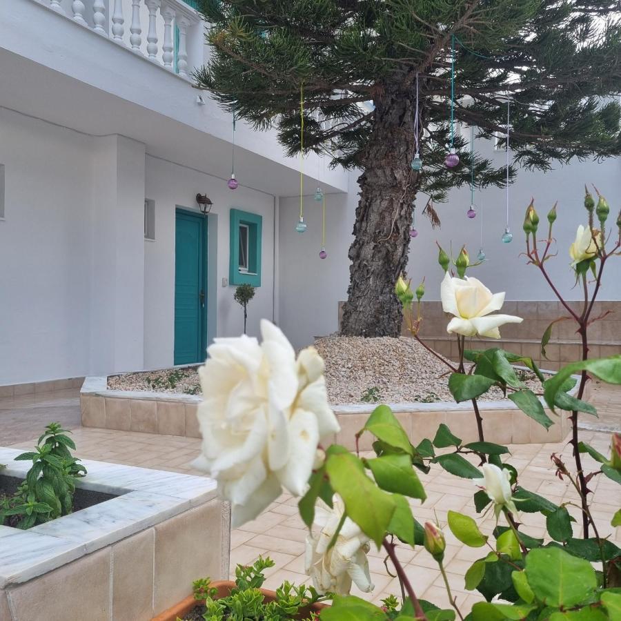 Arocaria - Faliraki Peaceful Apartments المظهر الخارجي الصورة