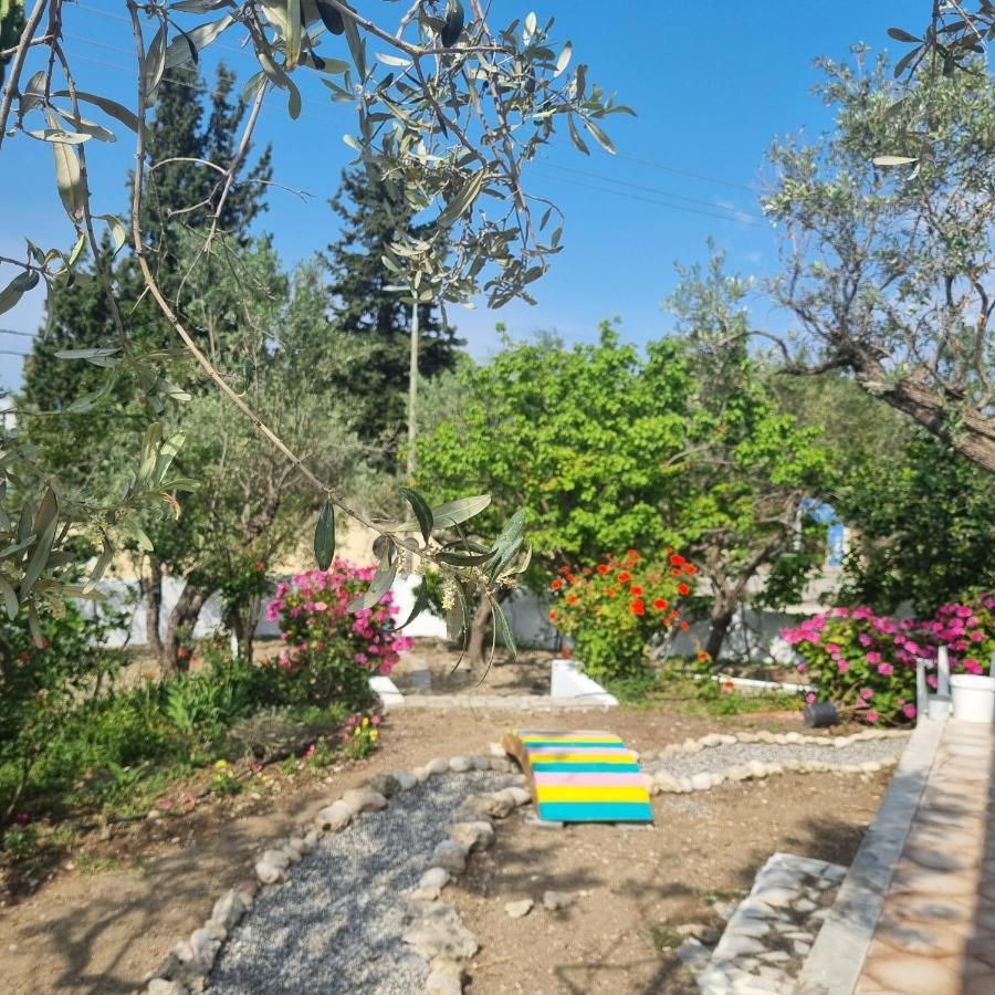 Arocaria - Faliraki Peaceful Apartments المظهر الخارجي الصورة