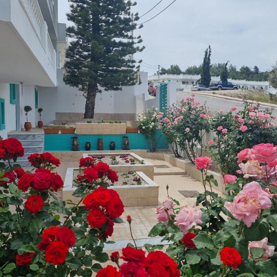 Arocaria - Faliraki Peaceful Apartments المظهر الخارجي الصورة